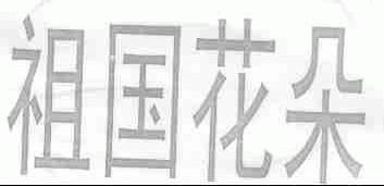 祖国花朵