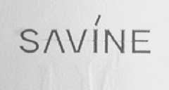 SVNINE