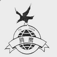 腾鹰;FLY EAGLE