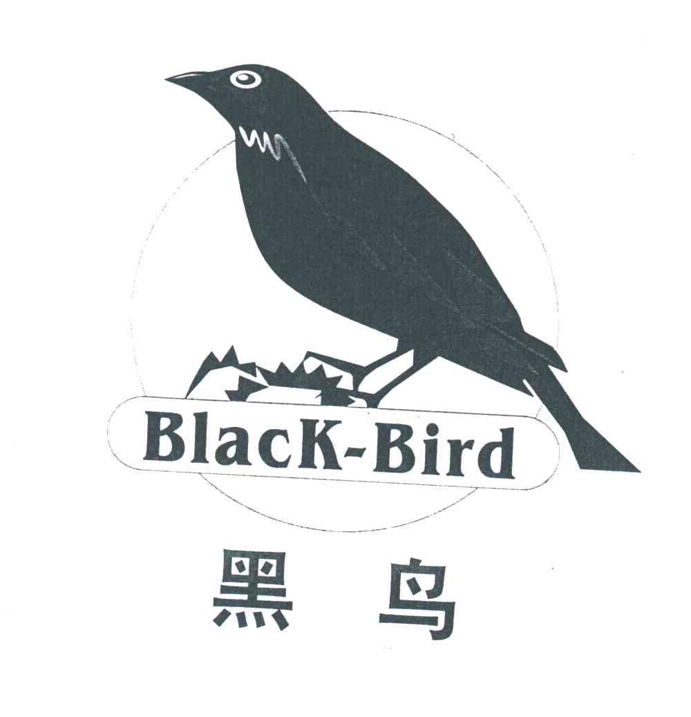 黑鸟;BLACK-BIRD