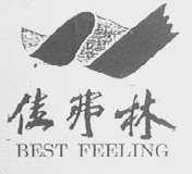 佳弗林  BEST FEELING