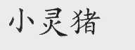 小灵猪
