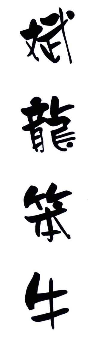 斌龙笨牛