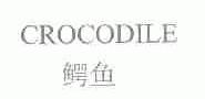 CROCODILE;鳄鱼