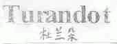 杜兰朵;TURANDOT