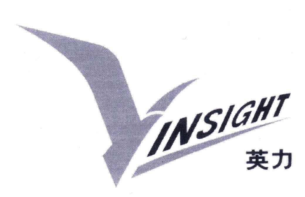 英力;INSIGHT;Y
