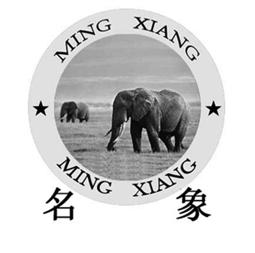 名象