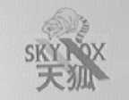 天狐