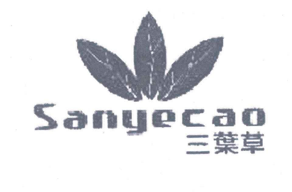 三叶草