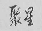 聚星