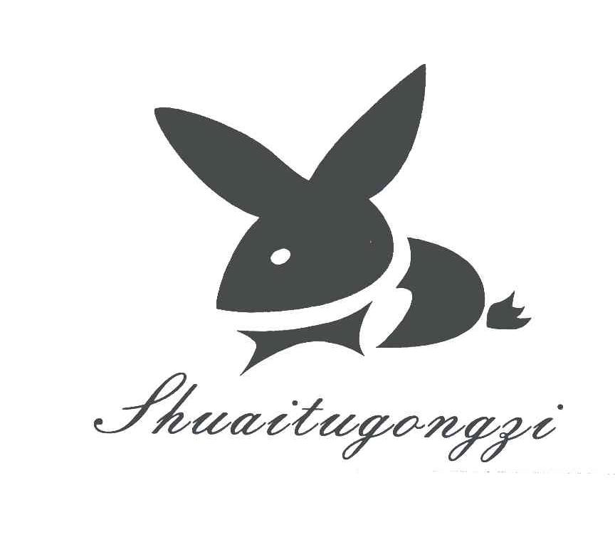 SHUAITUGONGZI
