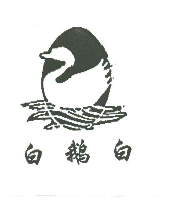 白鹅白