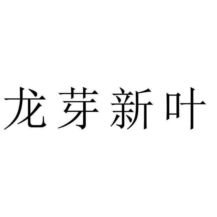 龙芽新叶