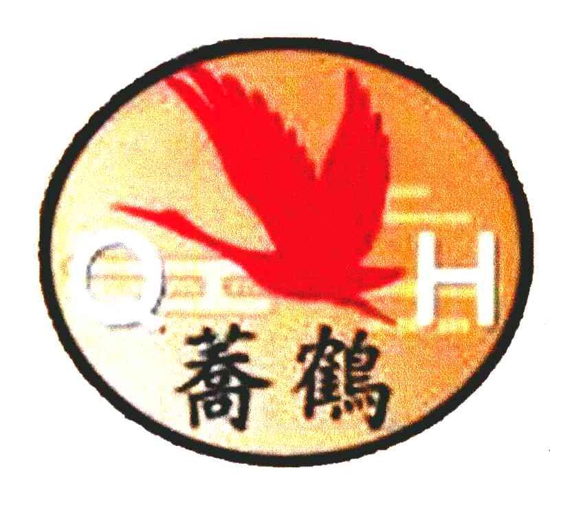 荞鹤 QH