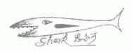 思尔可;SHARK