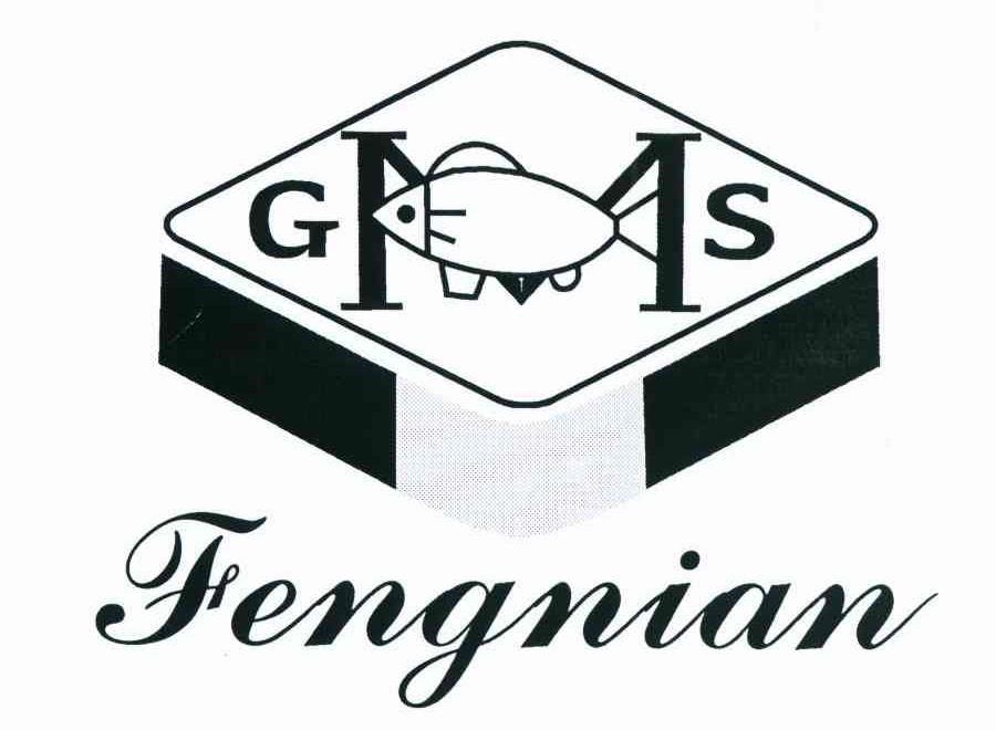FENGNIAN GMS