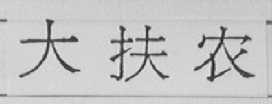 大扶农