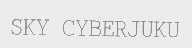 SKY CYBERJUKU