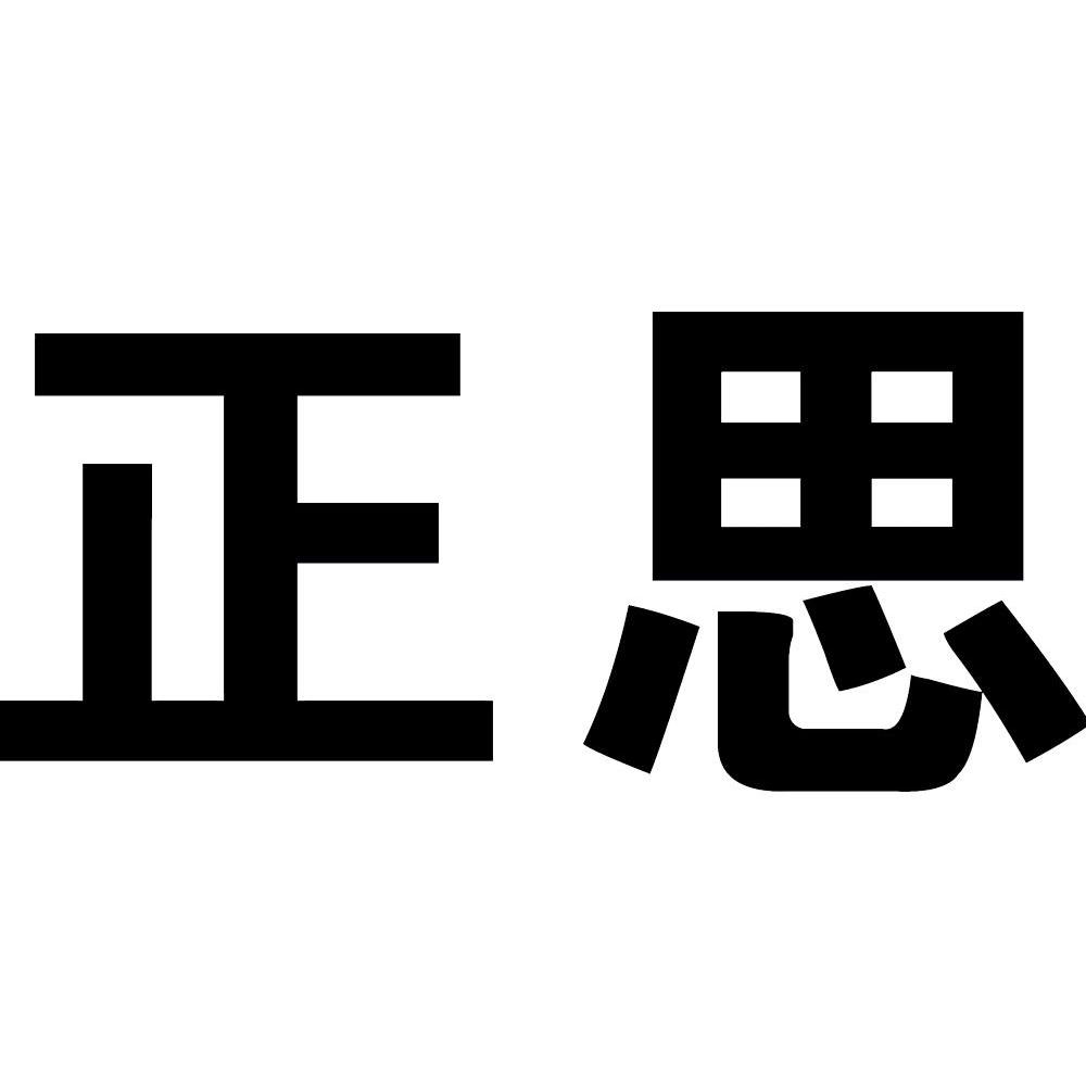 正思