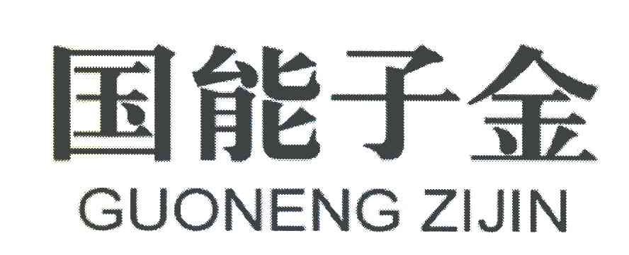 国能子金