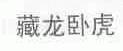 藏龙卧虎