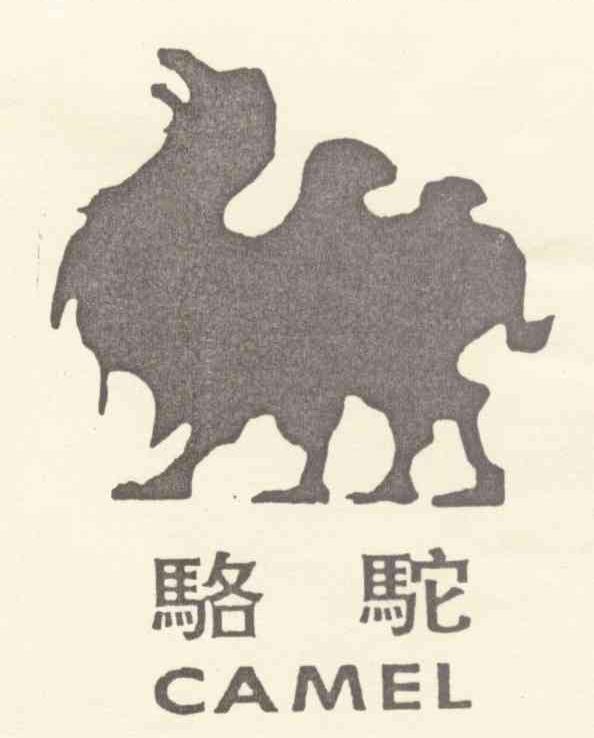 骆驼  CAMEL
