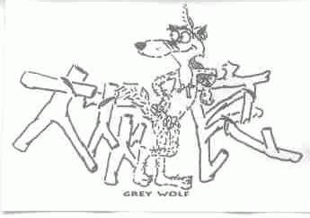 大灰狼;GREY WOLF