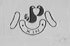 心  XIN
