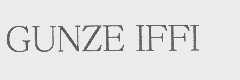 GUNZE IFFI