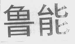 鲁能