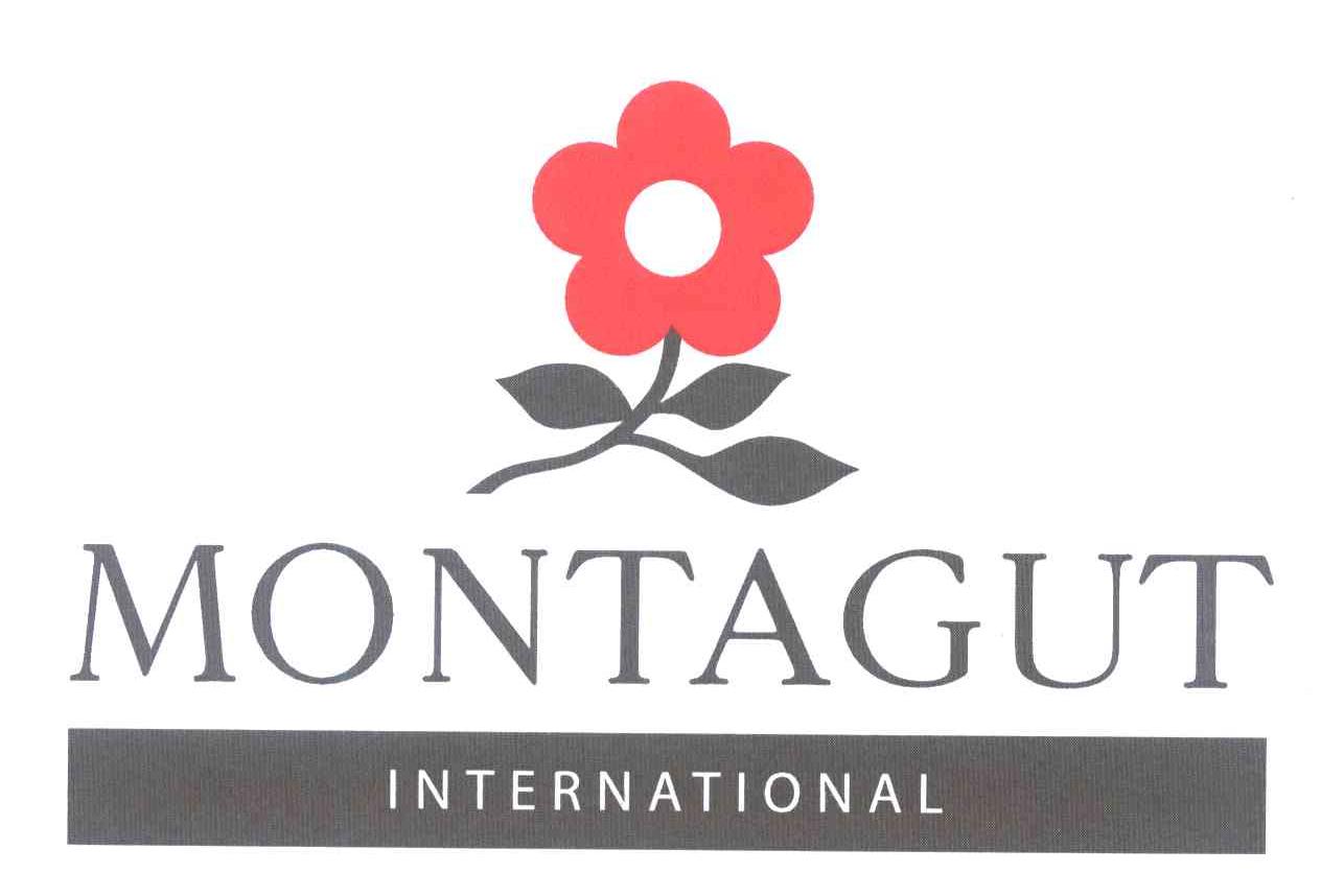 MONTAGUT INTERNATIONAL