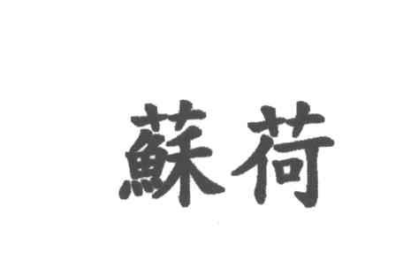 苏荷