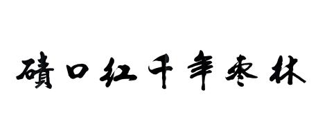碛口红千年枣林