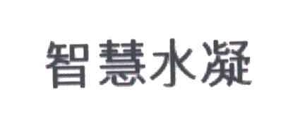 智慧水凝