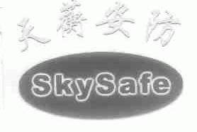 天蘅安防;SKYSAFE