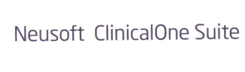 NEUSOFT CLINICALONE SUITE