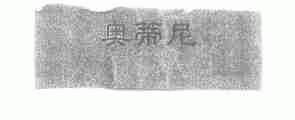奥蒂尼