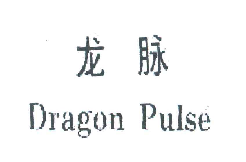 龙脉;DRAGON PULSE