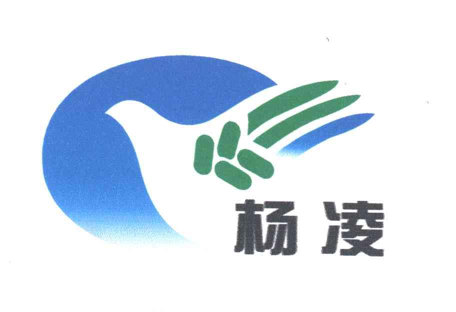 杨凌