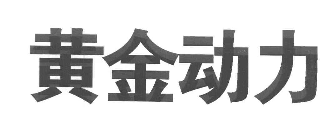 黄金动力