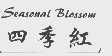 四季红  SEASONAL BLOSSOM