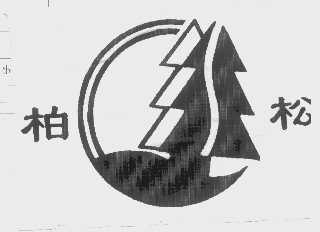 柏松