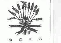 珍妮西施