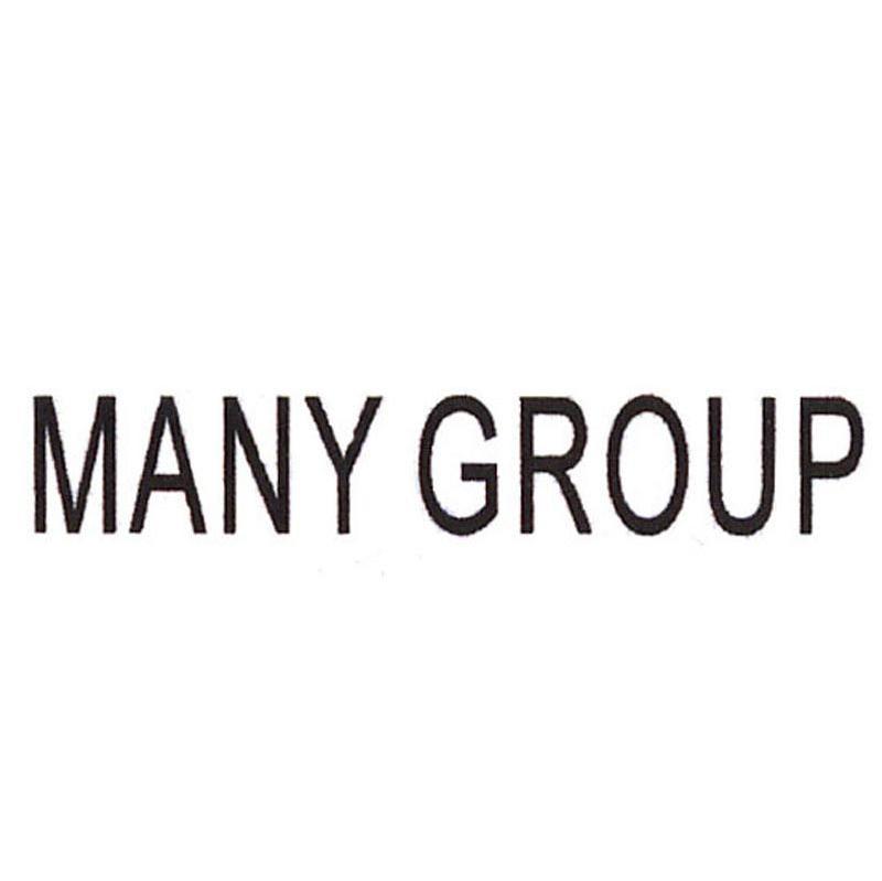 MANY GROUP