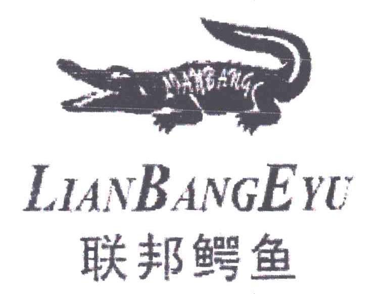 联邦鳄鱼
