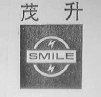 升茂    SMILE