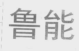 鲁能