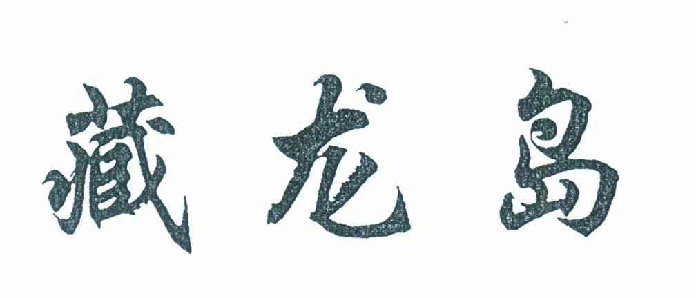 藏龙岛