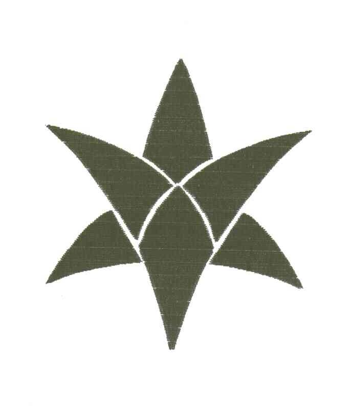 图形