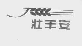 壮丰安